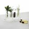 Vases in Borosilicate Glass by StudioNotte 6