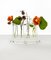 Vases in Borosilicate Glass by StudioNotte 5