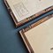 Swiss Herbarium Panels from École Dagriculture de Grangeneuve, 1920s, Set of 4 10