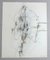 Armin Sandig, 1992, Crayon & Pencil 2