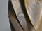 Large French Art Nouveau Mantel Clock and Trim, Set of 3, Image 12