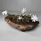 Meji Wabi-Sabi Low Tree Table, Japan, 1890s, Image 15