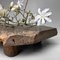 Meji Wabi-Sabi Low Tree Table, Japan, 1890s, Image 9