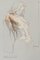 Michal Bajsarowicz, Desnudo, 2024, Dibujo en papel, Imagen 1