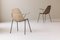 Vintage Italian Dining Chairs by Gian Franco Legler, 1950s, Set of 10 11