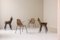 Vintage Italian Dining Chairs by Gian Franco Legler, 1950s, Set of 10 15