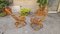 Fauteuils en Rotin dans le style de Tito Agnoli pour Dal Vera, 1950s, Set de 2 1