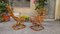 Fauteuils en Rotin dans le style de Tito Agnoli pour Dal Vera, 1950s, Set de 2 10
