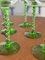 Alsatian White Wine Glasses with Green Twisted Stem, Set of 6 4
