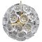 Mid-Century Modern Floral Glass and Brass Pendant, Germany, 1960s, Image 1