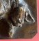 Louis Guy, Schlafender Basset, 1876, Bronze 5