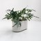 Crescendo Planter by Isao Hosoe for Bilumen, 1970s 3
