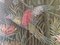 Jacquard Wall Tapestry after Rousseau, France, 1960s, Image 8