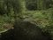 Ellie Davies, Chalk Streams 10, 2023, Photographie 1