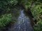 Ellie Davies, Chalk Streams 12, 2023, Photograph 1
