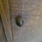 French Beech Hanging Cabinet, 1900s, Image 3