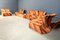 Modulares Vela Bassa Sofa von Giovanni Offredi für Saporiti, 1970er, 7 . Set 7
