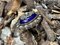 Antiker Diamantring mit Blauer Emaille, 1800er 7