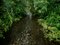 Ellie Davies, Chalk Streams 5, 2023, Print 1