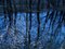Ellie Davies, Seascapes 7, 2020, Impresión, Imagen 1