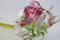 Hand-Blown Glass Rose, Former Czechoslovakia, 1970s 9