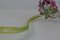 Hand-Blown Glass Rose, Former Czechoslovakia, 1970s 10