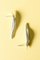 Mid-Century Silver Earrings by Gertrud Engel, 1950s, Set of 2 2