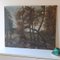 C. Fondanéche, Paisaje de otoño, años 60, óleo sobre lienzo, Imagen 3