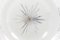 Opaline Cut Glass Plafonnier Light, 1930s, Image 3