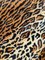 Sofá curvado vintage grande con estampado de leopardo, años 80, Imagen 13