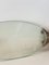 Vintage Fish Serving Dish in Glass and Silver Metal, 1960s 5