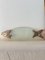 Vintage Fish Serving Dish in Glass and Silver Metal, 1960s 6