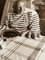 Robert Doisneau, Les Pains De Picasso, Vallauris, 1952 / 1998, Print 4