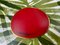 Red Enamel and Gold Brooch by John Iversen, Image 1