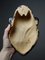 Vintage Enameled Ceramic African Mask 9