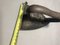 Antique Irons, Set of 2 12
