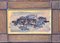 Daniela Pirra, School of Blue Fish, 2000, Watercolor, Framed 1