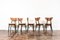 Dining Chairs by H & J Kurmanowicz, Poland, 1950s, Set of 5 3