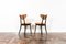 Dining Chairs by H & J Kurmanowicz, Poland, 1950s, Set of 5 22