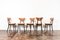 Dining Chairs by H & J Kurmanowicz, Poland, 1950s, Set of 5 6