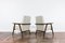 Set of Mid-Century Modern Polish Chairs, 1960s 5