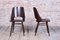 Mid-Century Chairs in Beech by Oswald Heardtl, Czech, 1950s, Set of 6 4