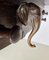 Dark Wood Wall Mounted Coat Rack with Carved Elephant Head, 1970s, Image 5