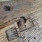 Tripod Oak Coffee Table 9