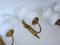 Mid-Century Wall Lamps, 1960s, Set of 3 2