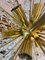 Chandelier Pusteblume from VEB Kristalleuchte Ebersbach 8