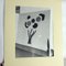 Keramik Kunstwerk von Ditta Abrhamova, Tschechoslowakei, 1980er, Große Fotografien, 2er Set 3