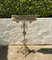 Art Nouveau Wrought Iron Garden Plant Stand, 1900s 10