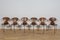 Chaises Fourmi Modèle 3101 en Teck par Arne Jacobsen pour Fritz Hansen, Danemark, 1970s, Set de 6 1