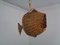 French Handmade Wicker Fish Ceiling Lamp, 1960s 3